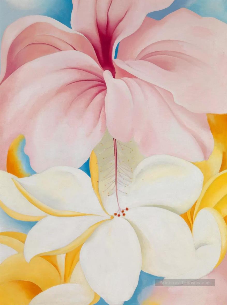 Hibiscus avec Plumeria Georgia Okeeffe modernisme américain Precisionism Peintures à l'huile